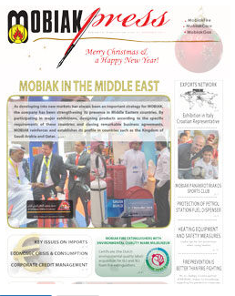 Issue 11 - December 2013